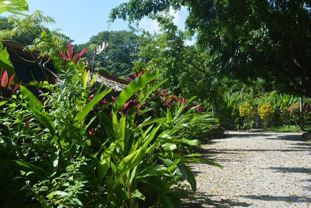 Indigo Yoga Surf Resort Malpais Exterior photo