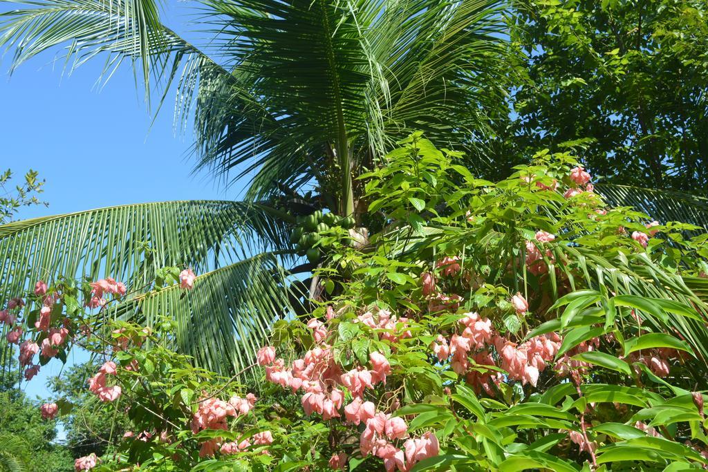 Indigo Yoga Surf Resort Malpais Exterior photo